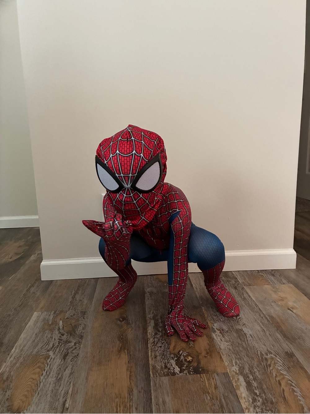 Kids Red & Blue Spider Hero Costume - Full Bodysuit with Mask - Picture 2 of 2